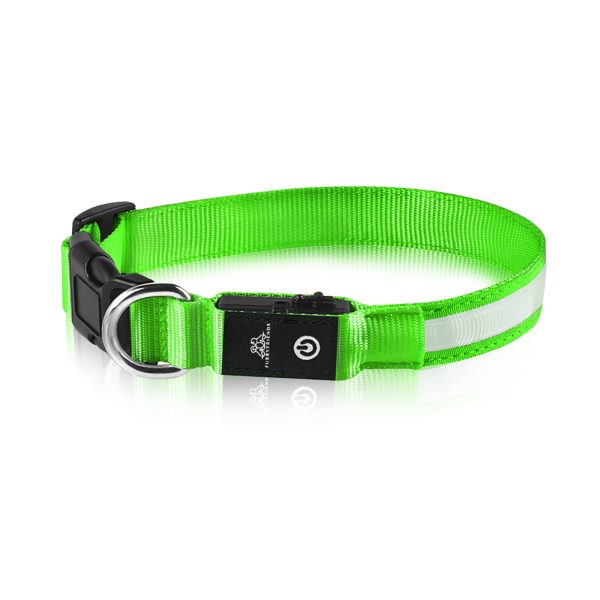 Hundehalsbånd med LED lys grøn