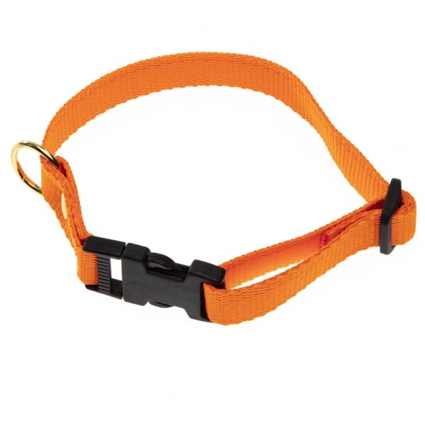 Orange Halsbånd - Halsrem 25 mm x 60 cm i webbing